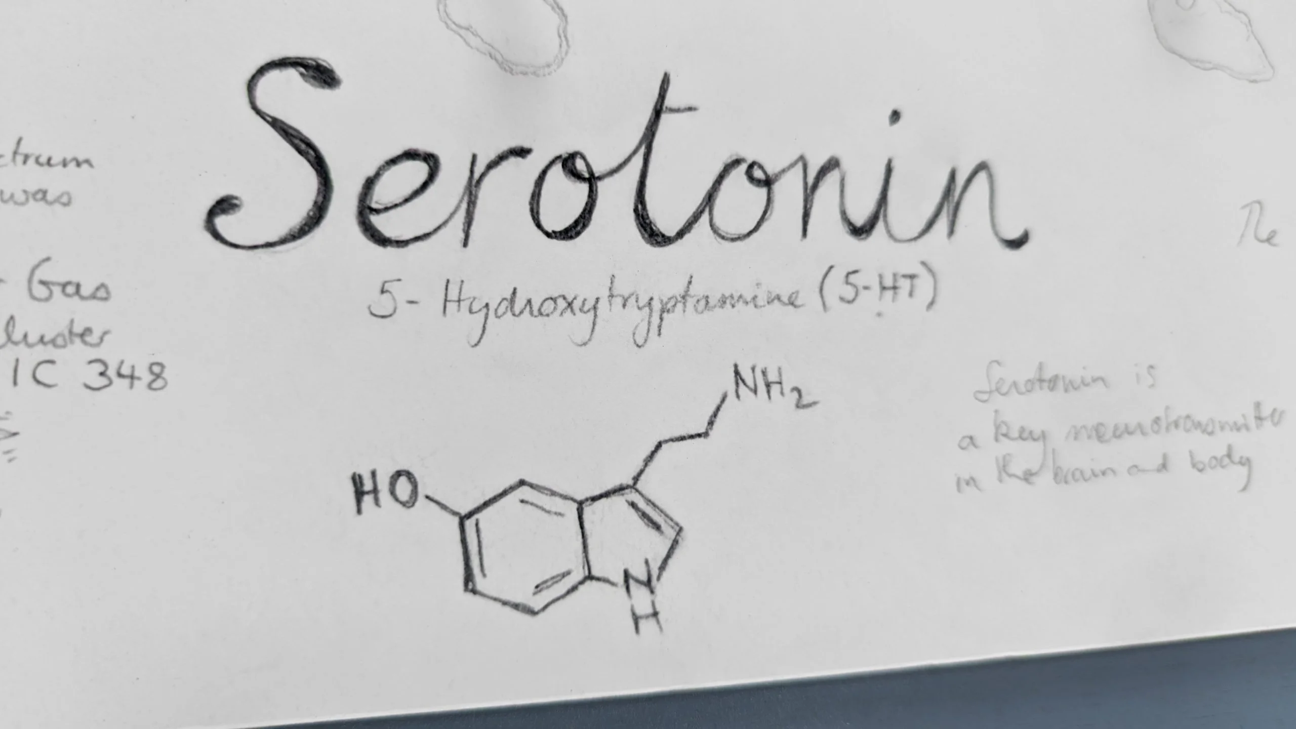 Serotonin - Image 11