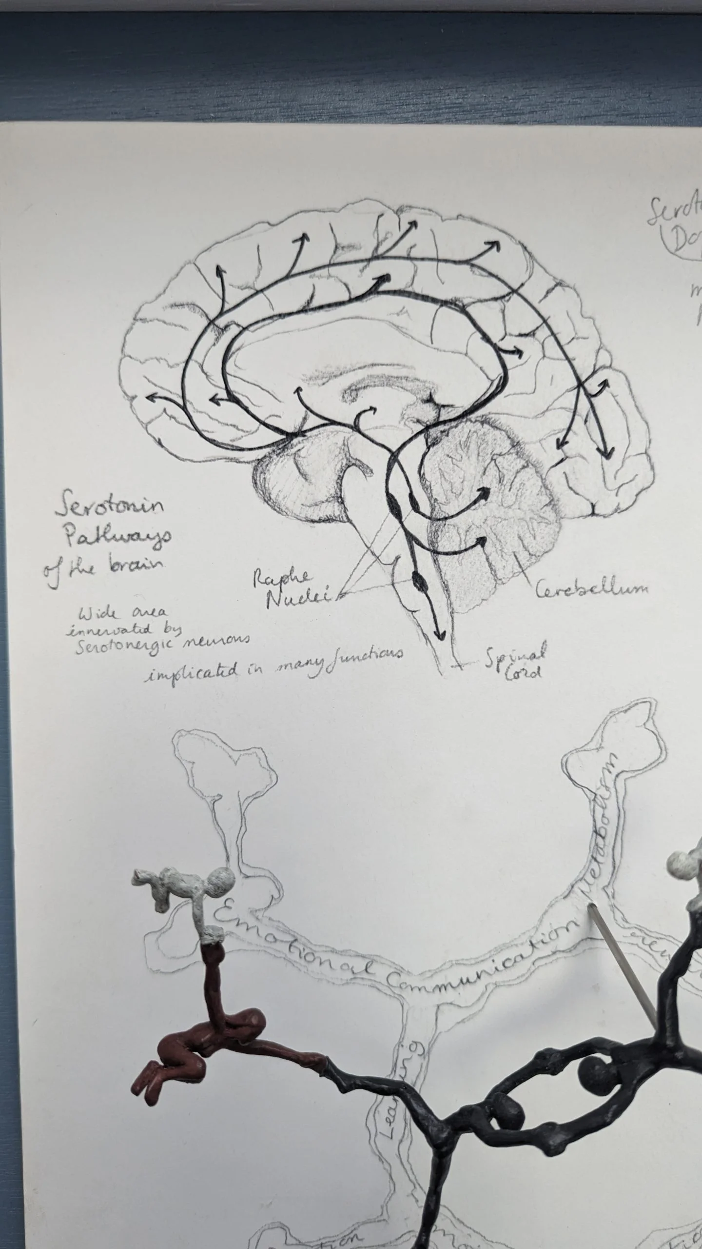 Serotonin - Image 10