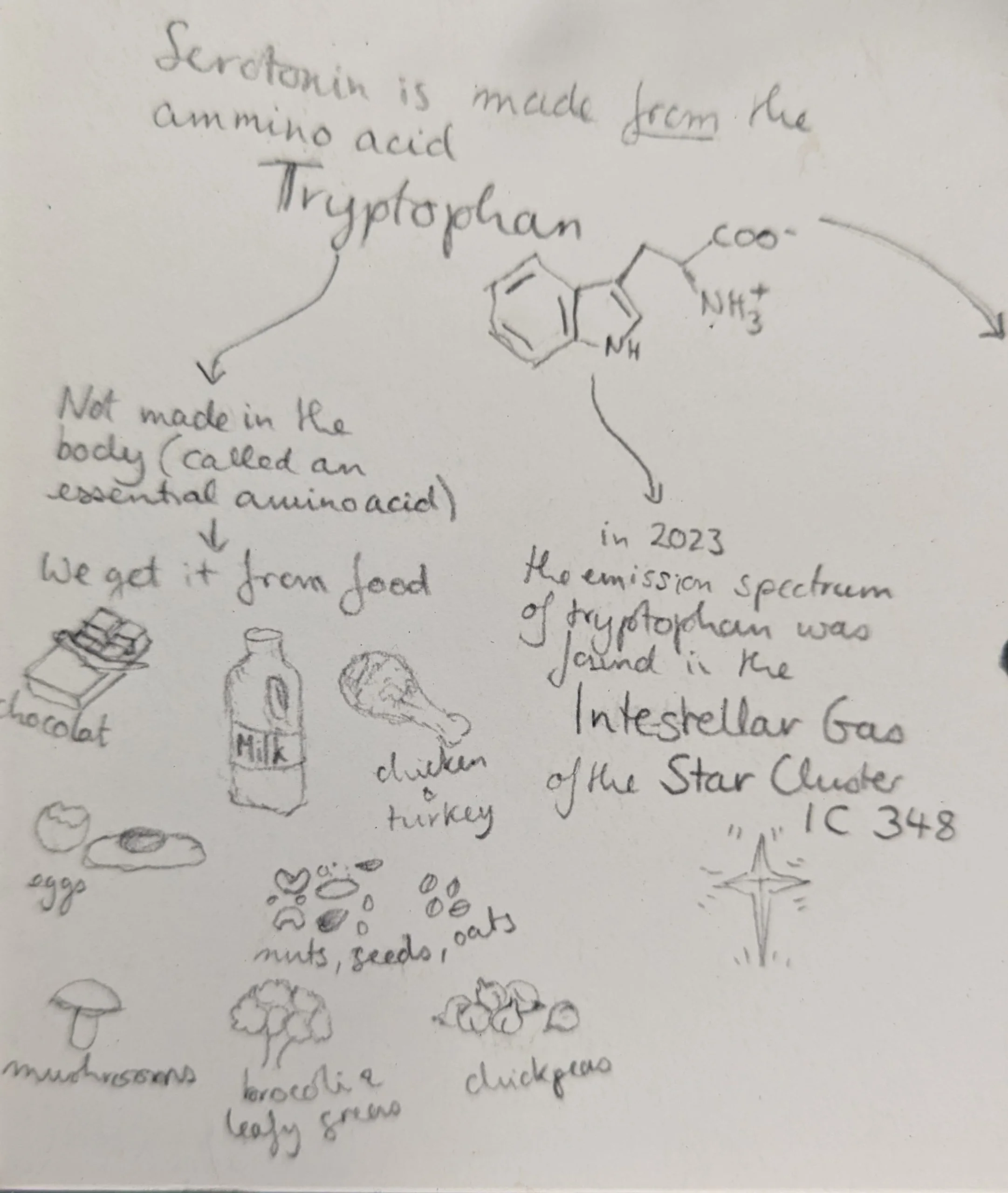 Serotonin - Image 9