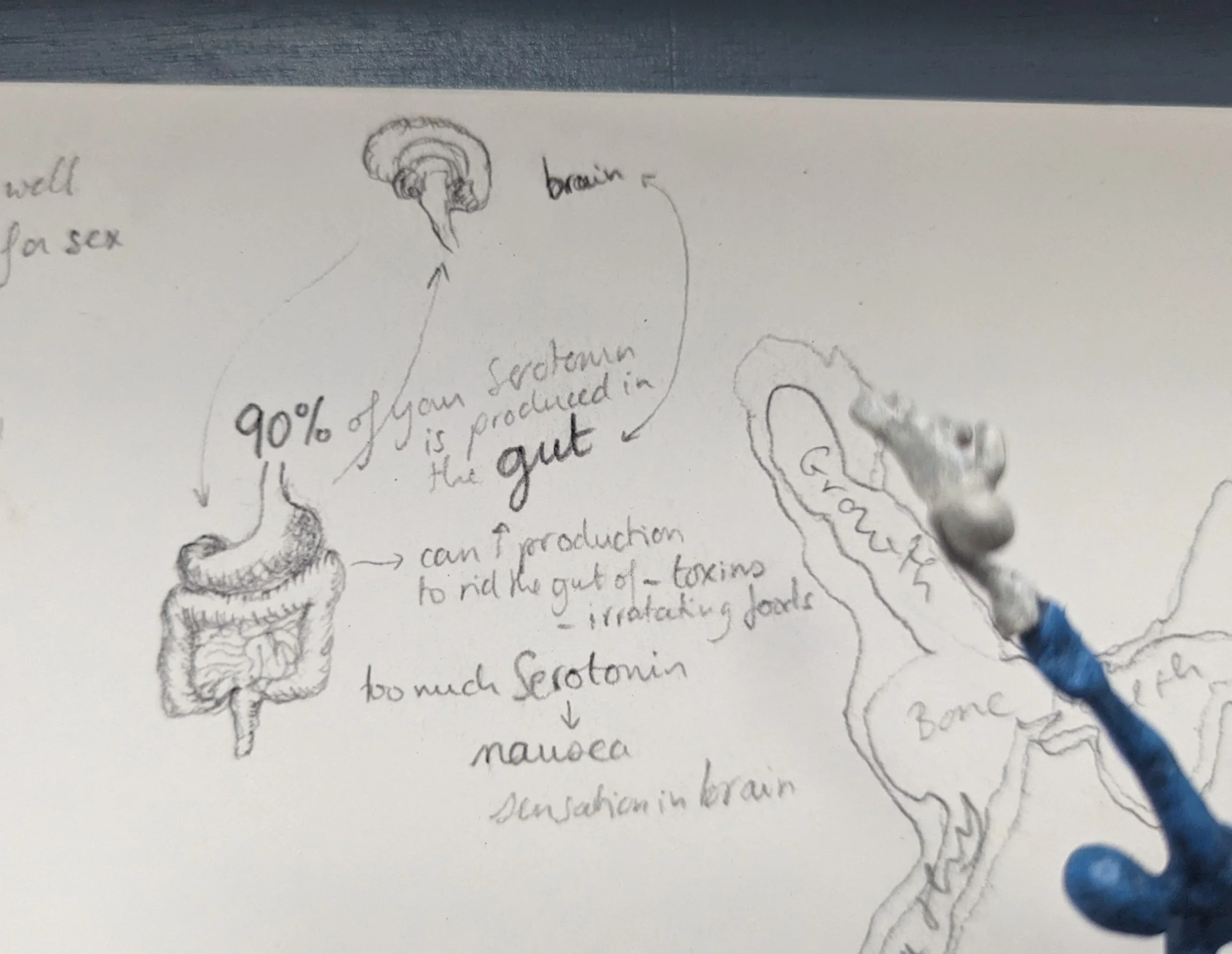 Serotonin - Image 7