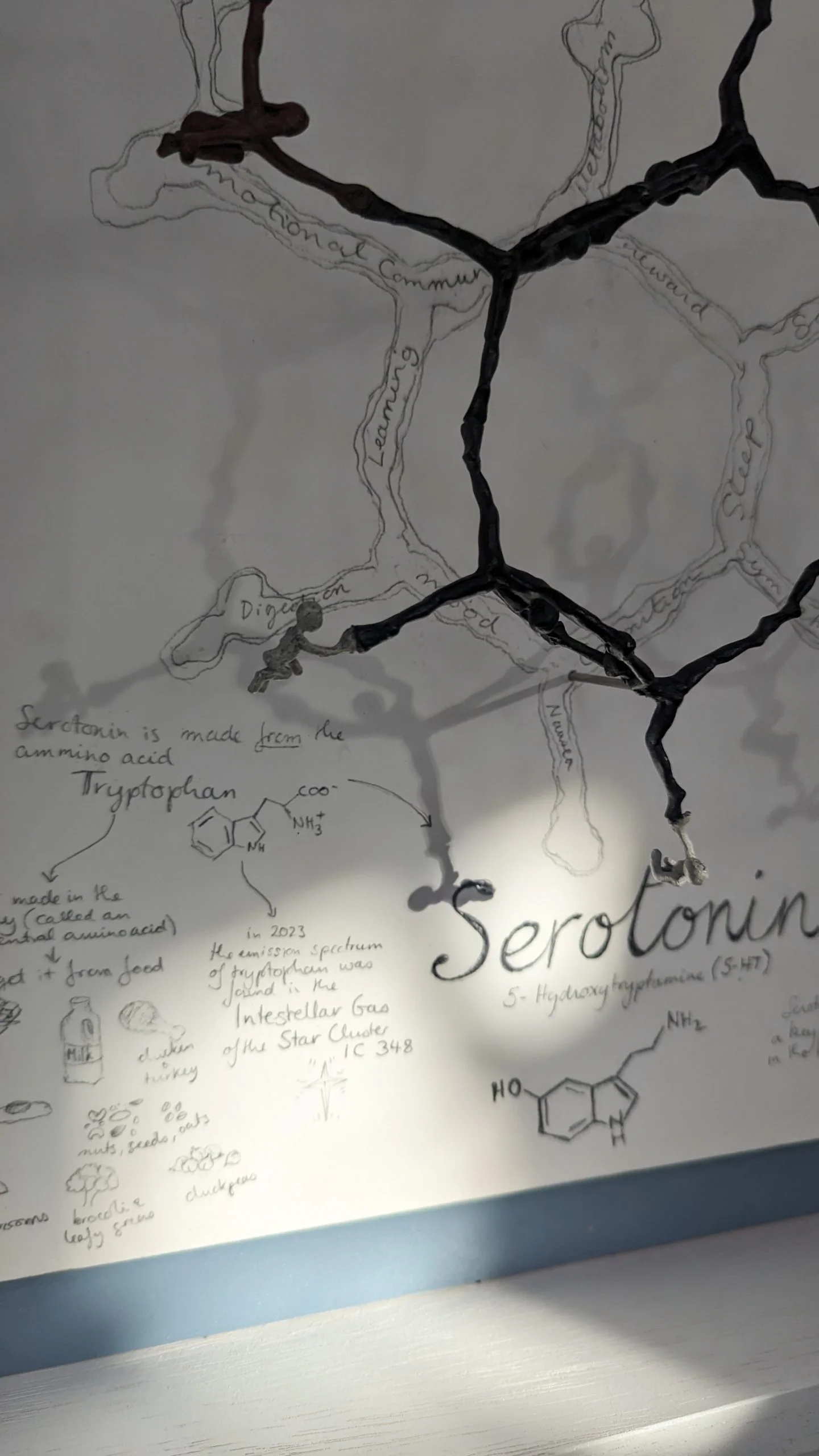 Serotonin - Image 6