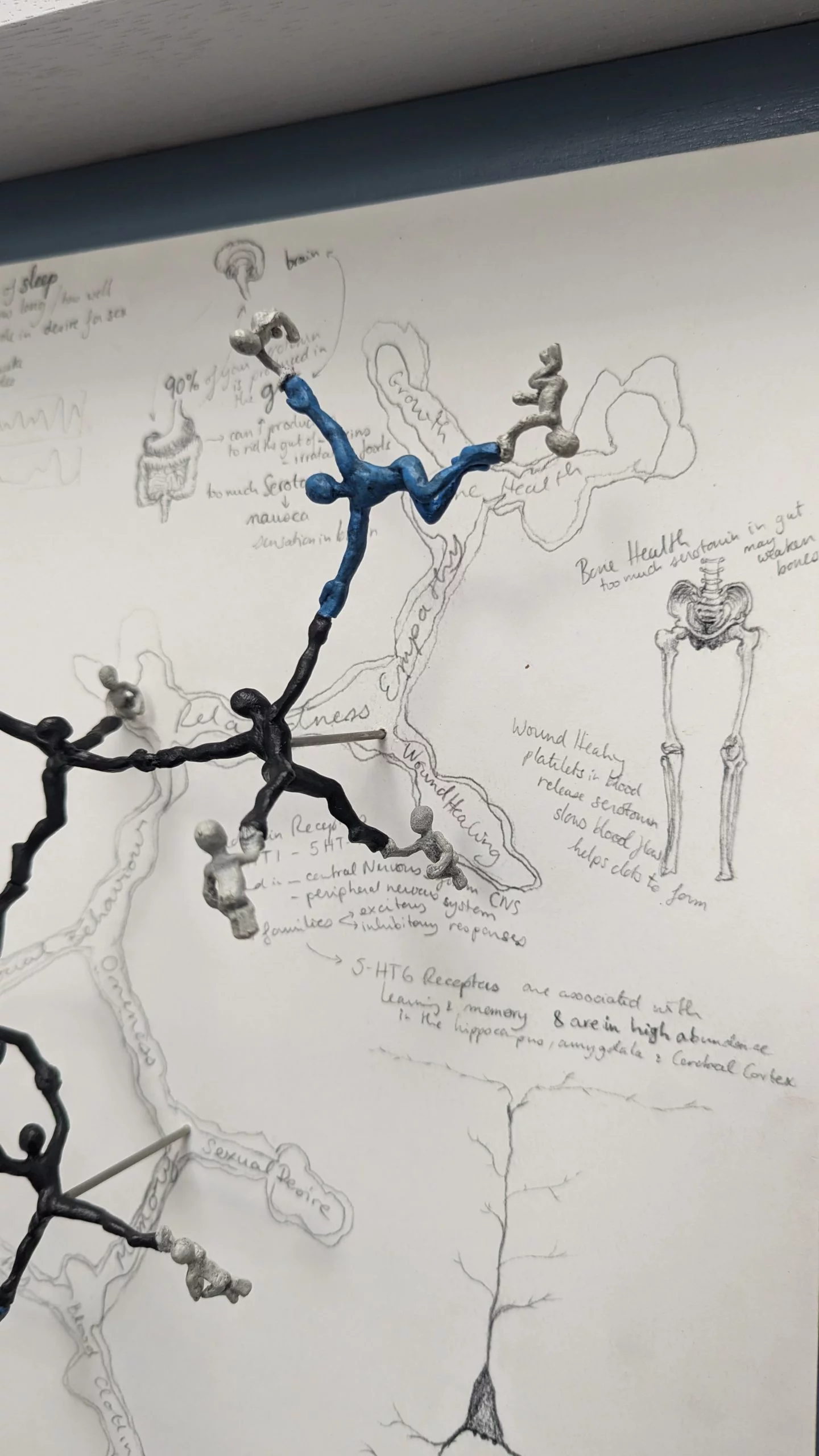 Serotonin - Image 5
