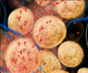 Cover of the VI4 AiR Illustration by Nadia Kafil, a UT-Austin - precursor to Visualizing Virology residency