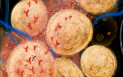 Visualizing Virology: Briony Marshall to work with scientists at world renown Vanderbilt Vaccine Centre