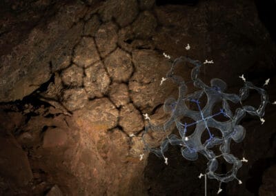 Nature’s Blueprint