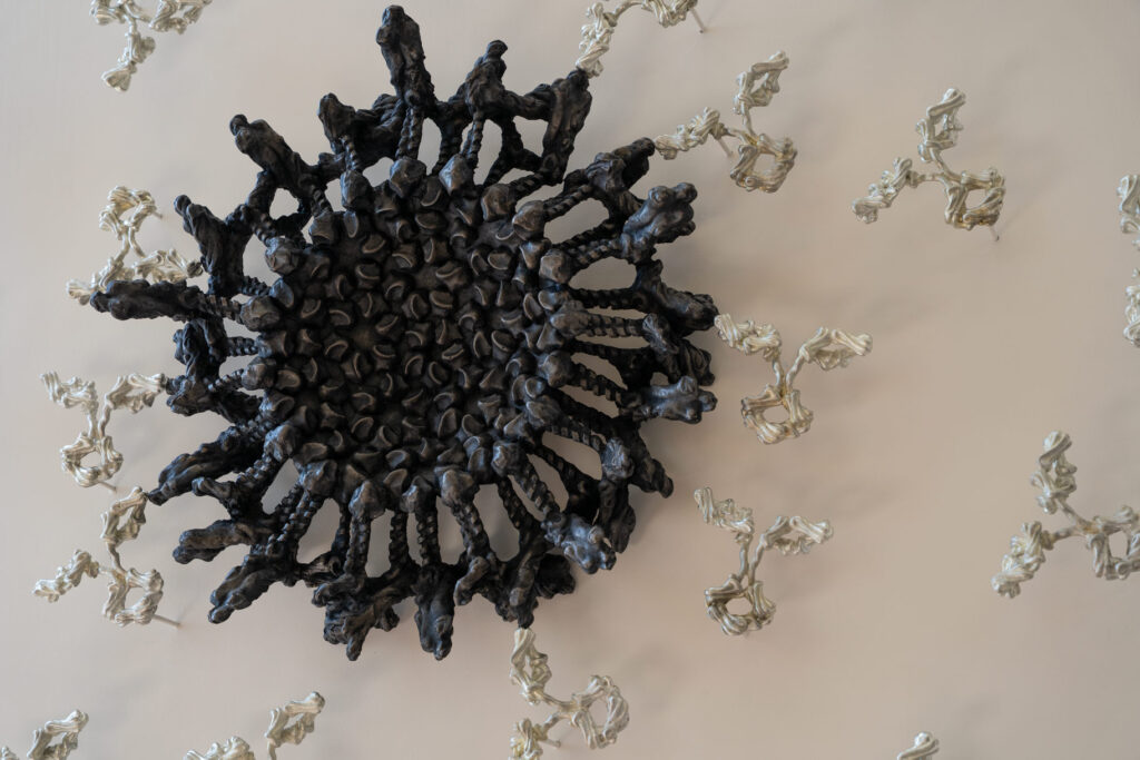Detail view of Silent Sentinels antibody sculpture by Briony Marshall, a close-up showing a dark ominous virus at the centre being swarmed by silver Y-shaped antibodies. The virus is cast in bonded bronze and the antibodies in pewter. The virus structure is depicted with spiky protrusions surrounded by the delicate Y-shaped immunoglobulin forms attacking from all sides, representing a classic battle of good versus evil at the molecular scale. This antibody sculpture is part of Silent Sentinels, an artwork installed outside the Crowe Lab at Vanderbilt University Medical Centre in Nashville.