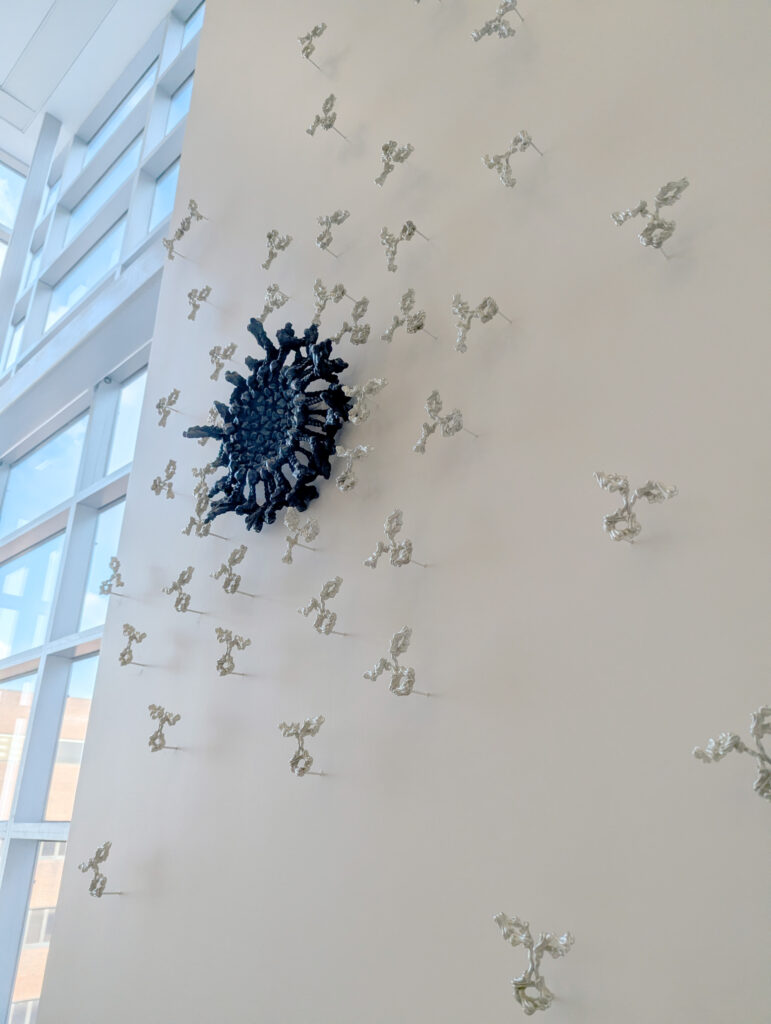 Detail view of Silent Sentinels antibody sculpture by Briony Marshall, a close-up showing a dark ominous virus at the centre being swarmed by silver Y-shaped antibodies cast in bonded bronze and pewter. The virus structure is depicted with spiky protrusions surrounded by the delicate Y-shaped immunoglobulin forms attacking from all sides, representing a classic battle of good versus evil at the molecular scale. This antibody sculpture is part of Silent Sentinels, an artwork installed outside the Crowe Lab at Vanderbilt University Medical Centre in Nashville.