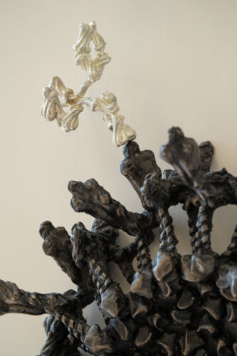 Close-up detail of Silent Sentinels by Briony Marshall, showing a silver Y-shaped antibody binding to the dark virus structure of Venezuelan equine encephalitis virus (VEEV). The antibody form is cast in pewter, with its characteristic arms reaching toward and engaging with the spiky surface of the virus made of bonded bronze, based on 3D structures from the Protein Data Bank. This captures the moment of molecular interaction between the immune response and the infectious threat. This virus and antibody sculpture detail demonstrates the precise engagement between immune defence and infectious threat. Part of Silent Sentinels, an artwork installed outside the Crowe Lab at Vanderbilt University Medical Centre in Nashville.